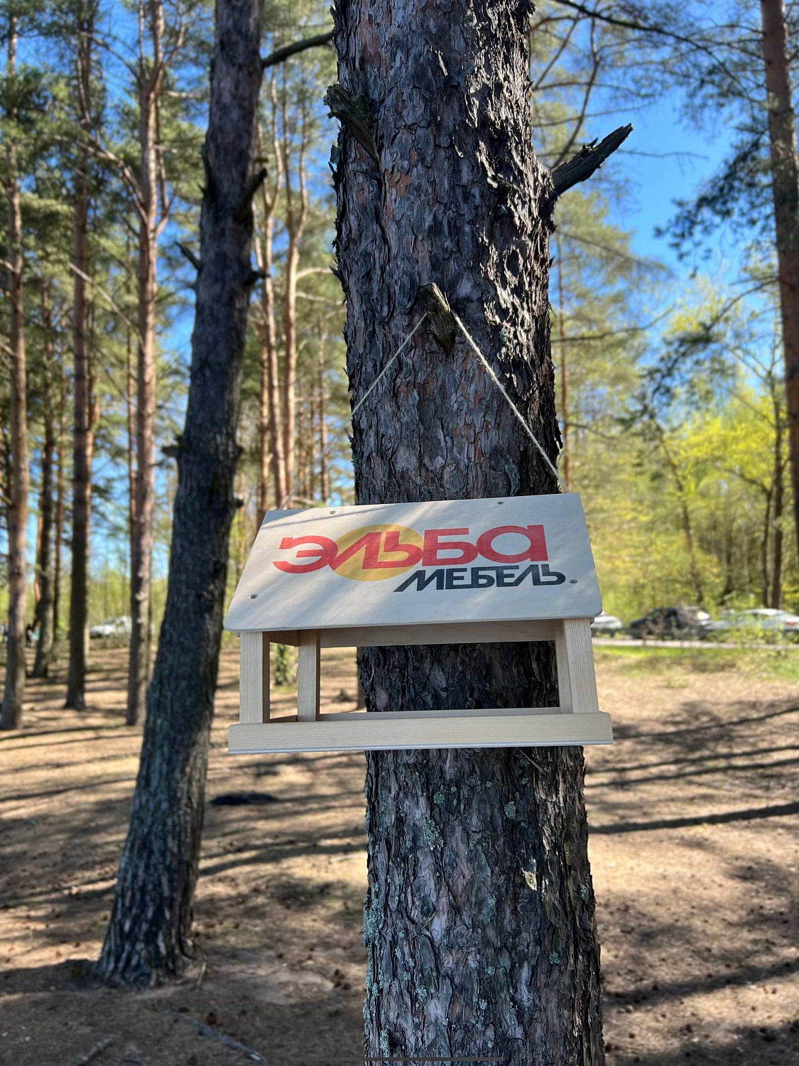 Ежегодная посадка деревьев