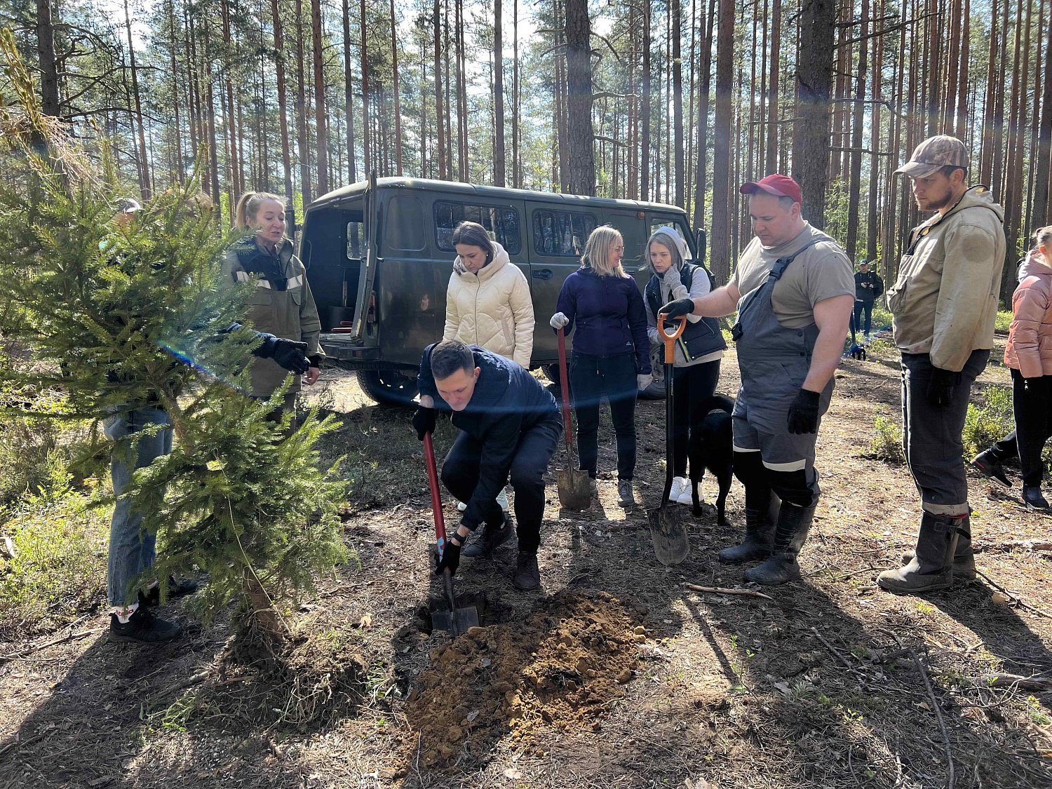 Эко-весна в Эльба Мебель Эко-весна в Эльба Мебель