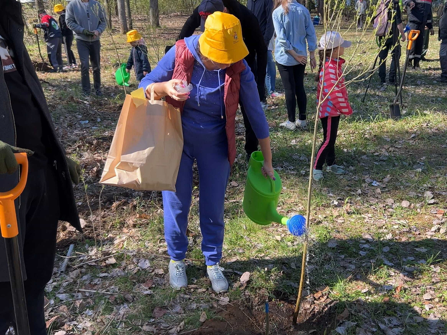 Ежегодная посадка деревьев