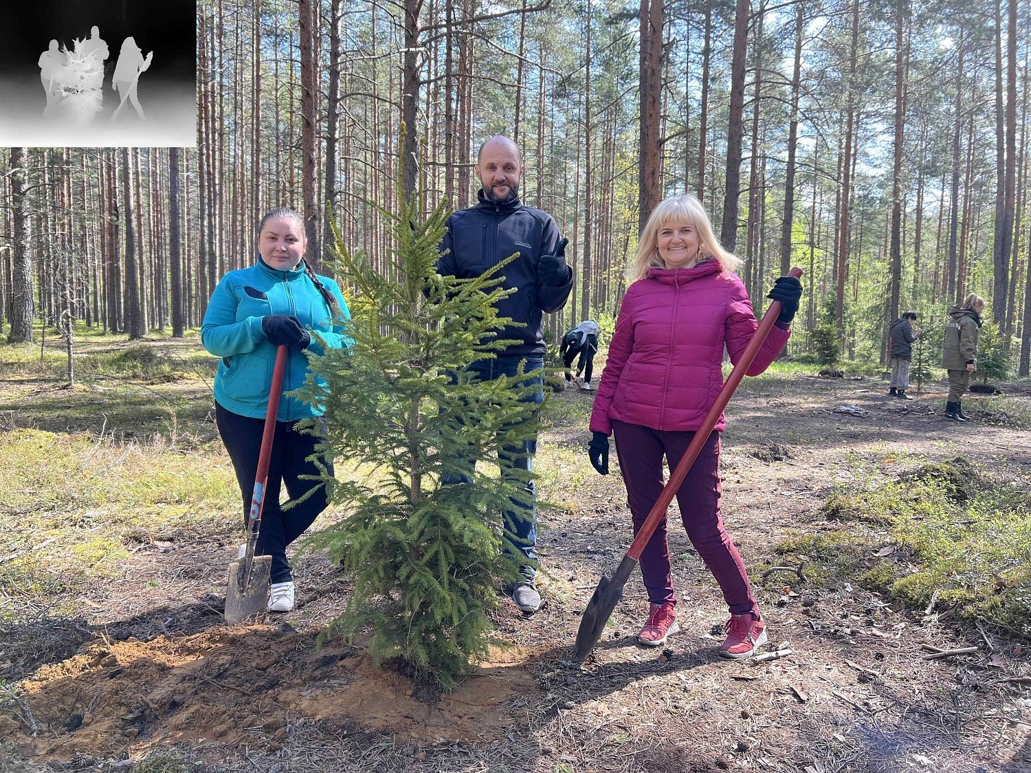 Эко-весна в Эльба Мебель Эко-весна в Эльба Мебель