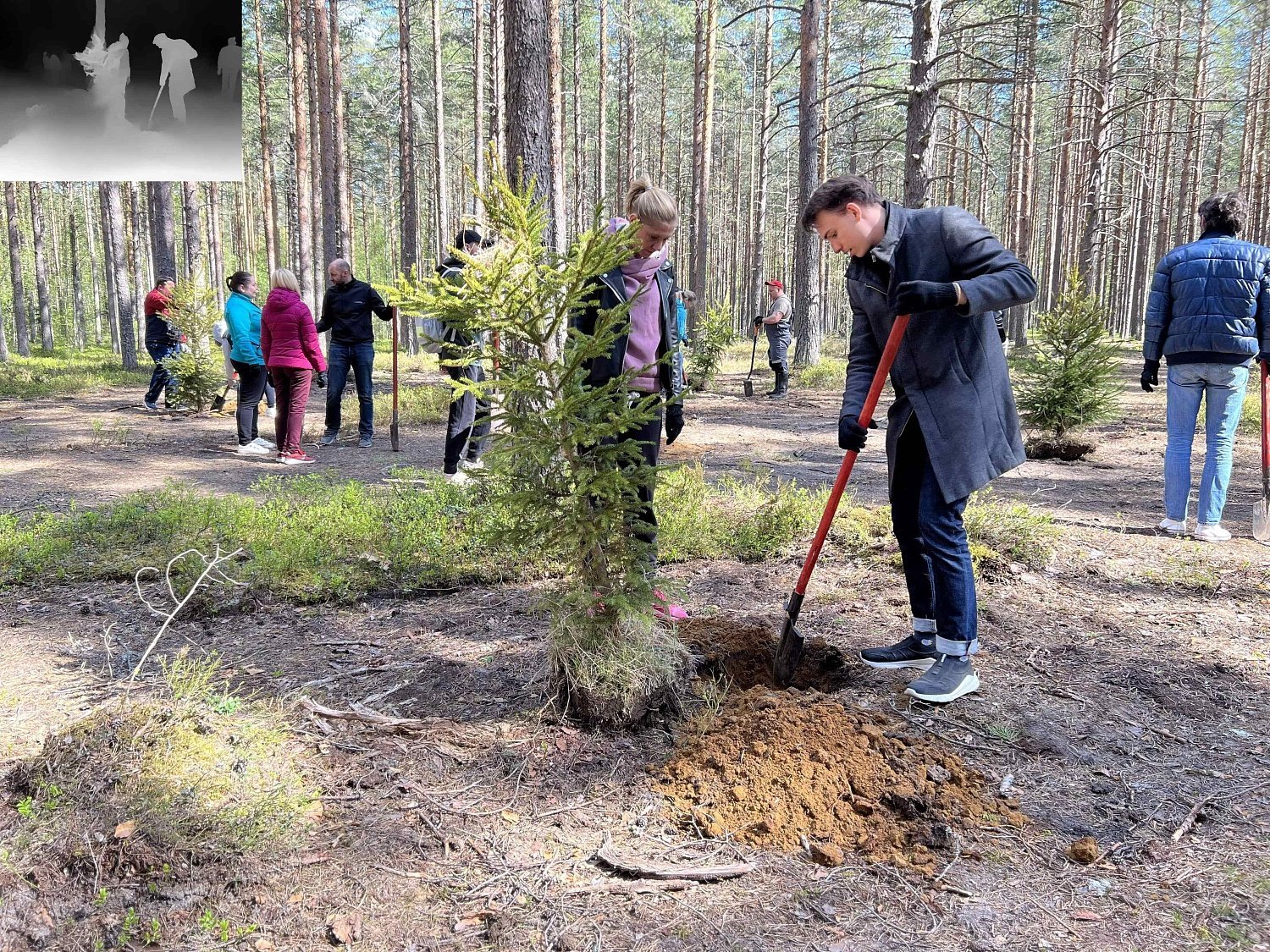 Эко-весна в Эльба Мебель Эко-весна в Эльба Мебель