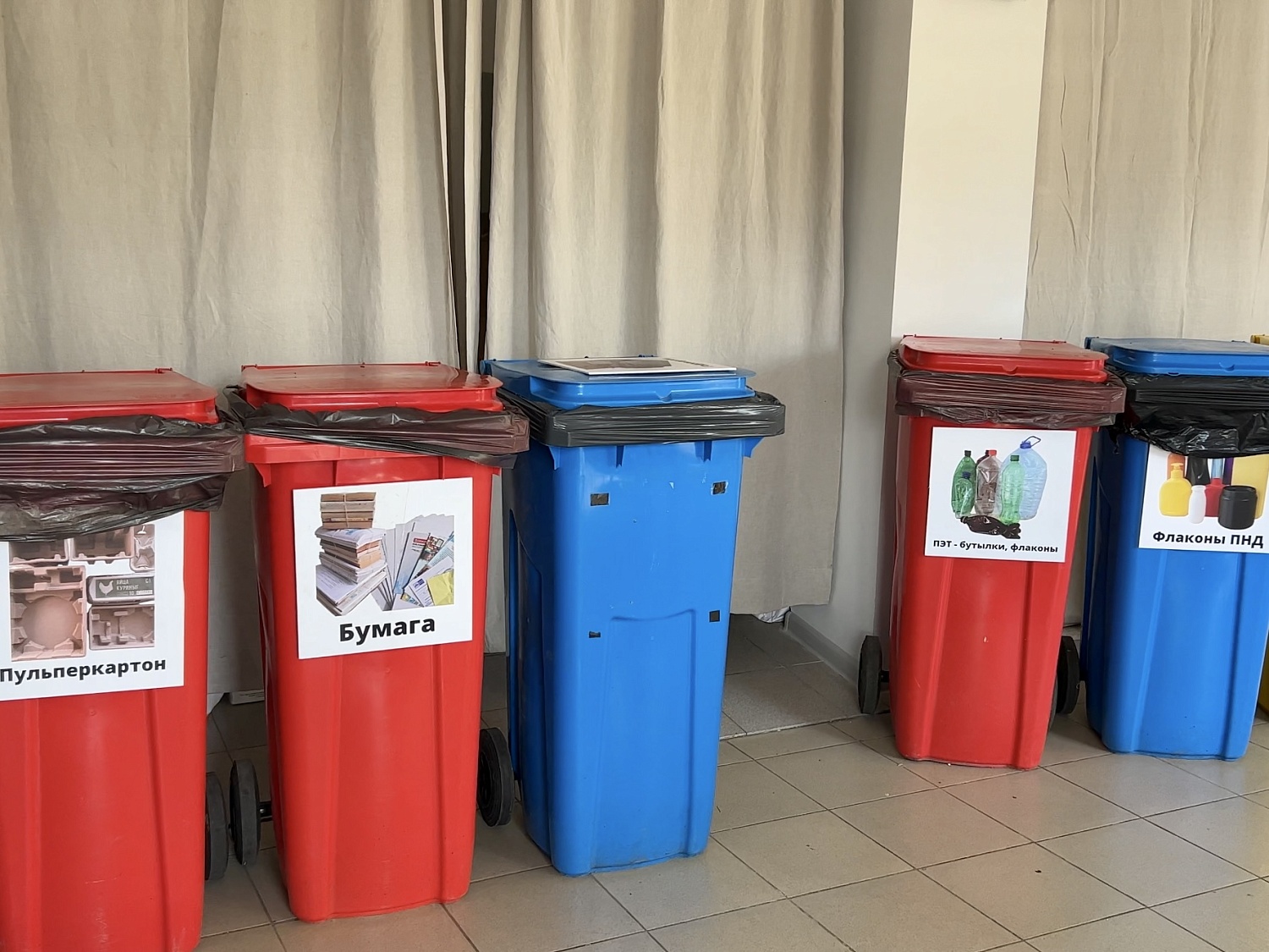 Помогаем. Эко-центр «Зеленый дом» в Воронеже.