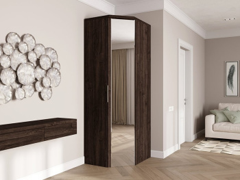 Шкаф Угловой 93х76х236 переходной (Дуб шоколад, Дуб шоколад ЛДСП) Шкаф Угловой 93х76х236 переходной (Дуб шоколад, Дуб шоколад ЛДСП)