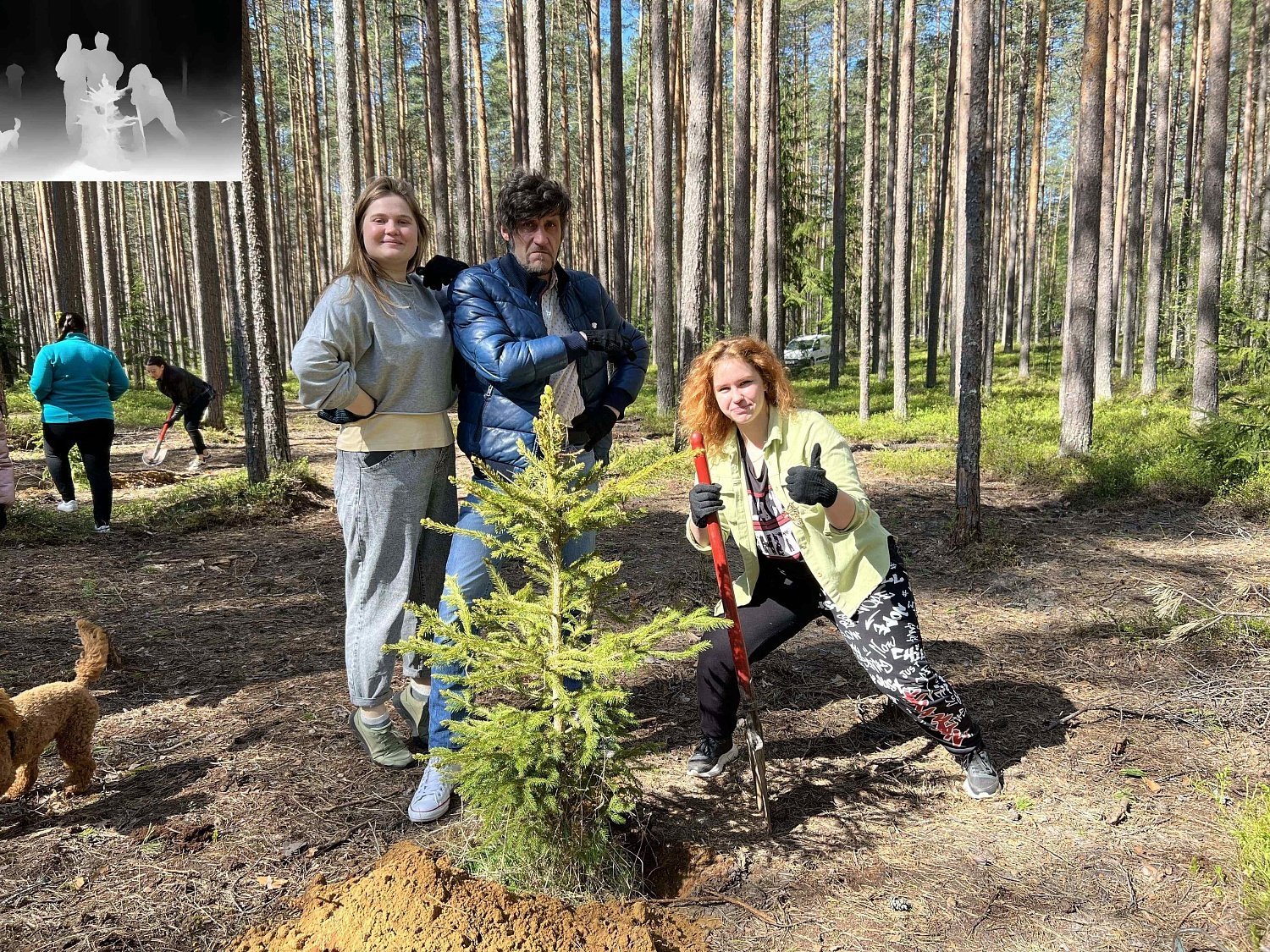Эко-весна в Эльба Мебель Эко-весна в Эльба Мебель