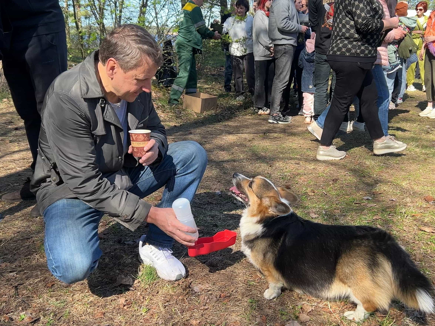 Ежегодная посадка деревьев